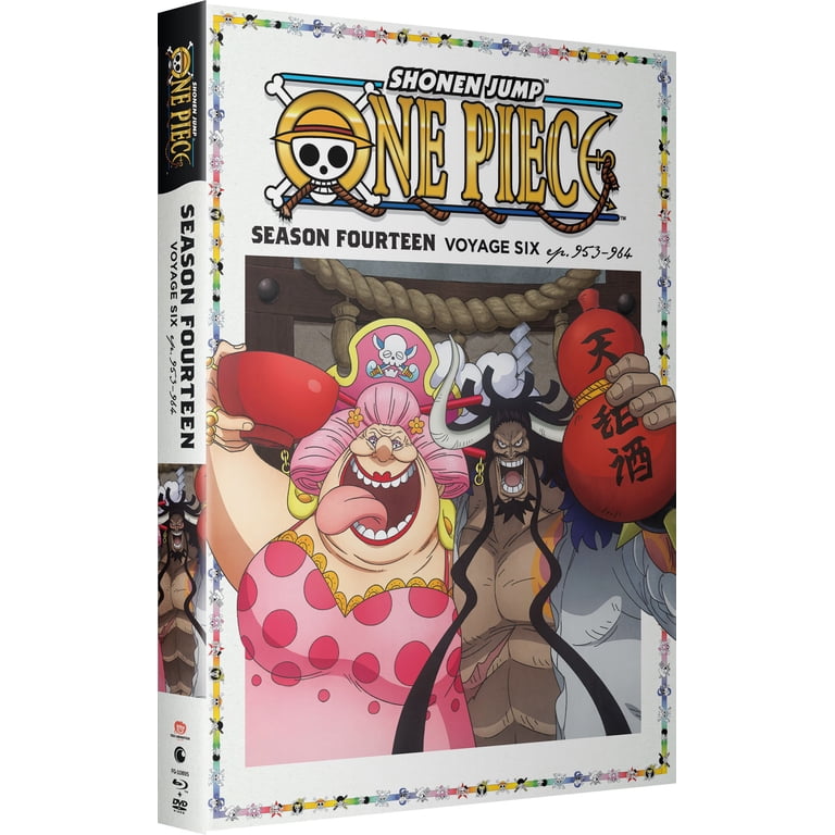 One Piece: Season 14 Voyage 6 (Blu-ray + DVD) - Walmart.com