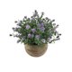 thumbnail image 1 of Planta artificial en maceta de simulación perfecta para decoración interior del hogar y la oficina, Gypsophila púrpura ER, 1 of 5