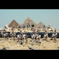 thumbnail image 3 of Wargames Atlantic Armée Squelette, 3 of 15