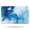 Blue White Marble, variant on Blue White Marble Pattern Bathroom Rugs Mat,Non Slip Microfiber Bathroom Rug,Rubber Backing,Soft Bathroom Mats for Bathroom Floor,Tub and Shower,17x27in(43x68cm)