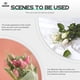 thumbnail image 4 of EeaseMX Caja de flores prensadas Marco de exhibición de flores secas Marco de flores DIY Marco de exhibición de muestras, 4 of 7