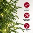 thumbnail image 4 of Minibee Artificial Norfolk Pine Tree with Lights, 2FT Pre-Lit Christmas Tree with Black Pot for Living Room or Entryway, 4 of 10