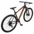 SCHWINN 29