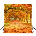 thumbnail image 2 of BSDHOME Polyester Autumn Falls Photo Background Maple Road Photocall Oil Painting Backdrop for Studio Photography 5x7ft, 2 of 4