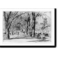 thumbnail image 2 of Historic Framed Print, [Washington elms in April], 17-7/8" x 21-7/8", 2 of 9