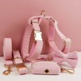 thumbnail image 2 of Pink Corduroy Dog Collar And Leash Set With Custom Engraved Nameplate, 2 of 17