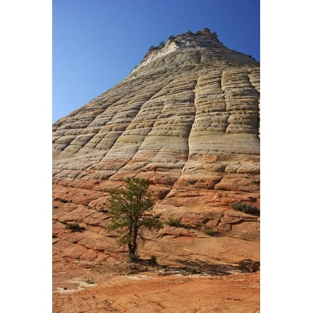 Checkerboard Mesa, Formed of Navajo Sandstone, Zion National Park, Utah, United States of America Print Wall Art By Peter