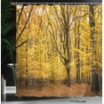 thumbnail image 4 of Ambesonne Forest Shower Curtain, Autumn in Nature Theme, 69"Wx84"L, Yellow Brown, 4 of 5