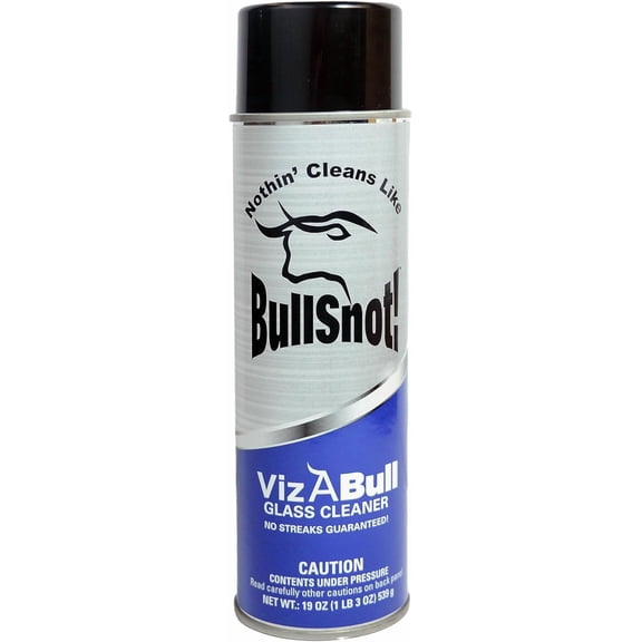 VizABull Glass Cleaner Foam Spray, Streak-Free for Car Windshield, Mirror, Window Cleaning - Heavy Duty for Auto Exterior - Ammonia-Free, No Drip, Quick Dry - 19 Fl Oz, 1 Can