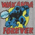 thumbnail image 2 of Boy's Marvel Black Panther Retro Battle Graphic Tee Athletic Heather Large, 2 of 5