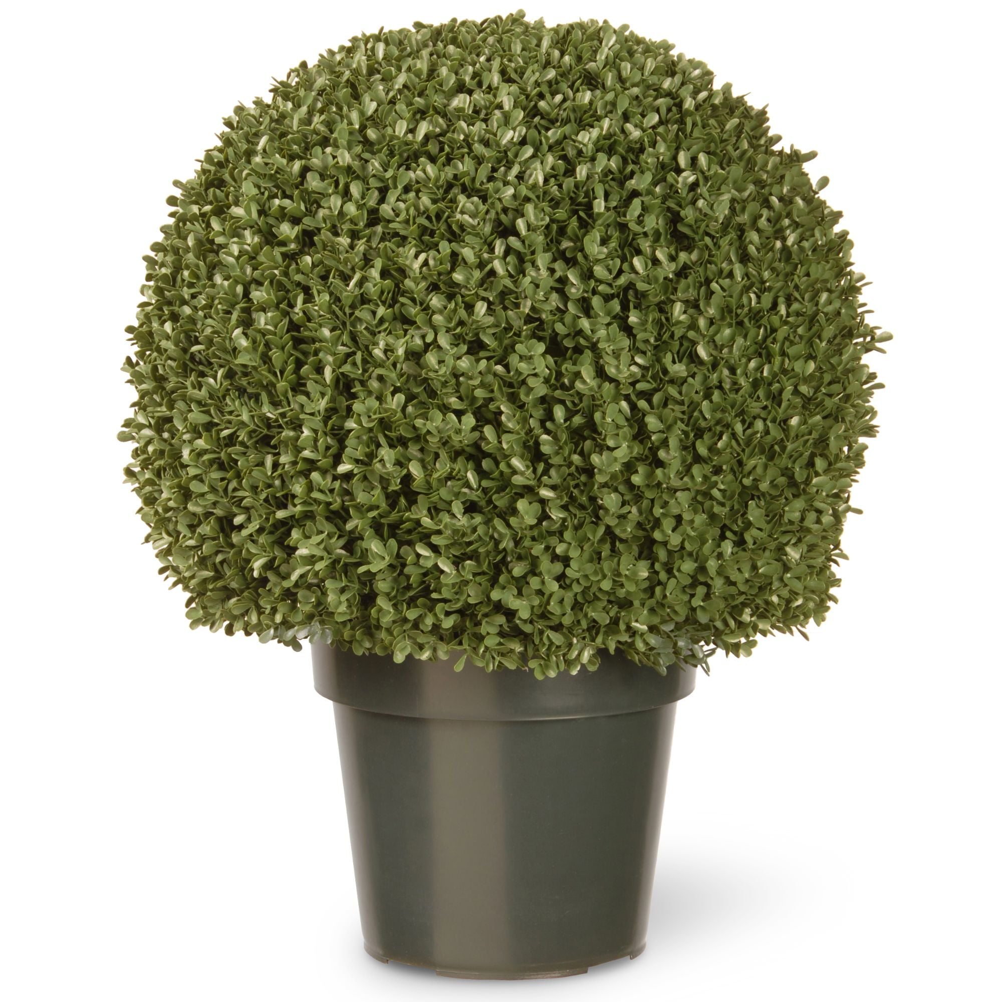 22" Green Artificial Boxwood Ball Tree with Round Weighted Pot