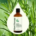 thumbnail image 3 of Plant Therapy Rosemary Essential Oil, 100% Pure, USDA Certified Organic, Undiluted, 100 mL (3.3 oz), 3 of 8