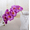 Purple, variant on 27.5 Inch 8 heads Artificial Phalaenopsis Flowers Branches 1 pc Silk Orchids Flowers Stem Plants for Home Office Wedding Decoration