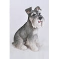 thumbnail image 4 of Grey Schnauzer, 4 of 10