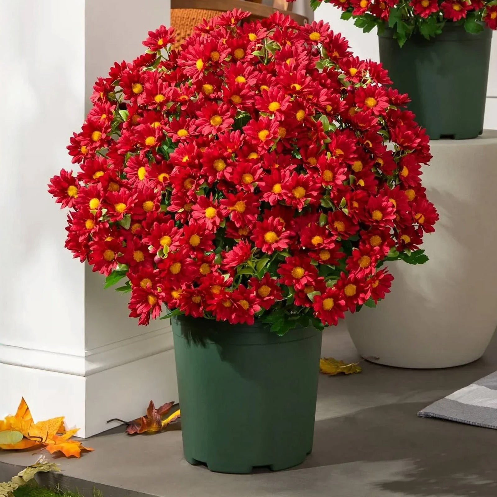 Fake Mums Fall Artificial Flowers, Ongmies 5 Bundles Artificial Sunset Chrysanthemum Flowers – Fade-Proof, Realistic Outdoor Decoration for Garden, Patio & Porch, Outdoors Decorations