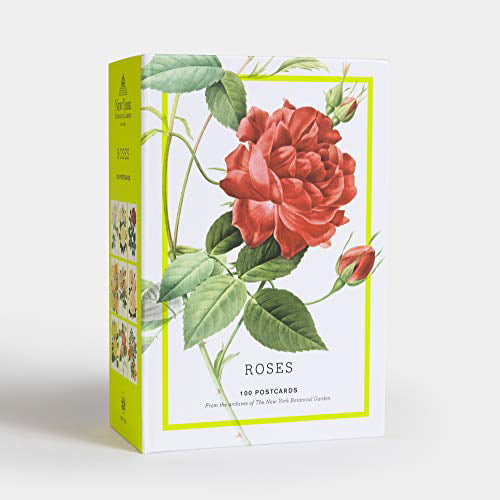 Rose Petals - Organic Postcard for Sale by NMTeaCo
