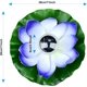 thumbnail image 5 of Farol solar de loto para exteriores (lila), luces flotantes para piscina, luces LED solares RGB con forma de flor de loto, lámpara flotante impermeable para estanque, jardín y piscina., 5 of 5