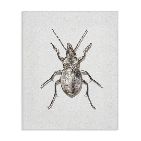 Stupell Industries Contemporary Textured Beetle Minimal Off-White Canvas Art, 16 x 20, by Ziwei Li