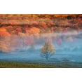 thumbnail image 2 of OBrien, Jay 14x11 White Modern Wood Framed Museum Art Print Titled - WV, Davis Misty valley and forest in Autumn, 2 of 4