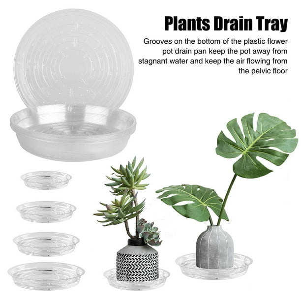 Ludlz 10 Pack Clear Plastic Plant Saucer Drip Trays with labels, Large Plant Plate Dish, Plastic
