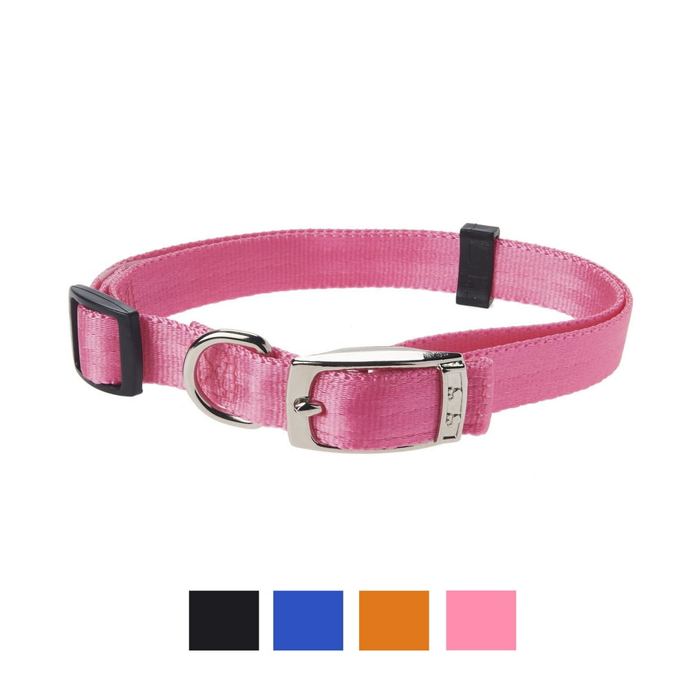 Vibrant Life Solid Nylon Dog Collar with Metal Buckle, Pink, Medium