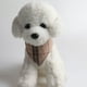 thumbnail image 3 of Collar de perro a cuadros con lazo, el mejor regalo para mascotas para perros machos pequeños, medianos y grandes, beige y marrón, 3 of 5