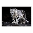thumbnail image 2 of Mudket Framed Snow Leopard Canvas Wall Art, Black and White Animal Print Wall Decor for Men Living Room, Trendy Leopard Wall Art, Ready to Hang - 12"L x 8"W, 2 of 10