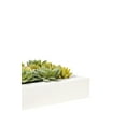 thumbnail image 2 of Vickerman 12"x12" Artificial Green Succulent Arrangement., 2 of 6