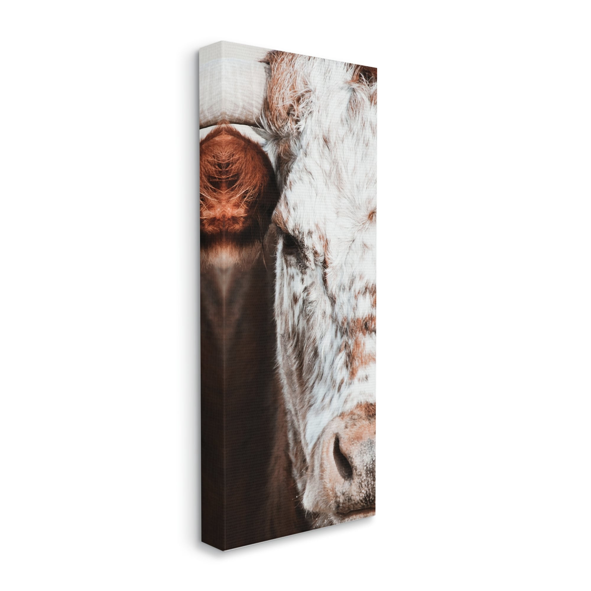 Closeup Spotted Cow Cattle Detailed Farm Photography Animals & Insects Photograph Gallery-Wrapped Canvas Print Wall Art