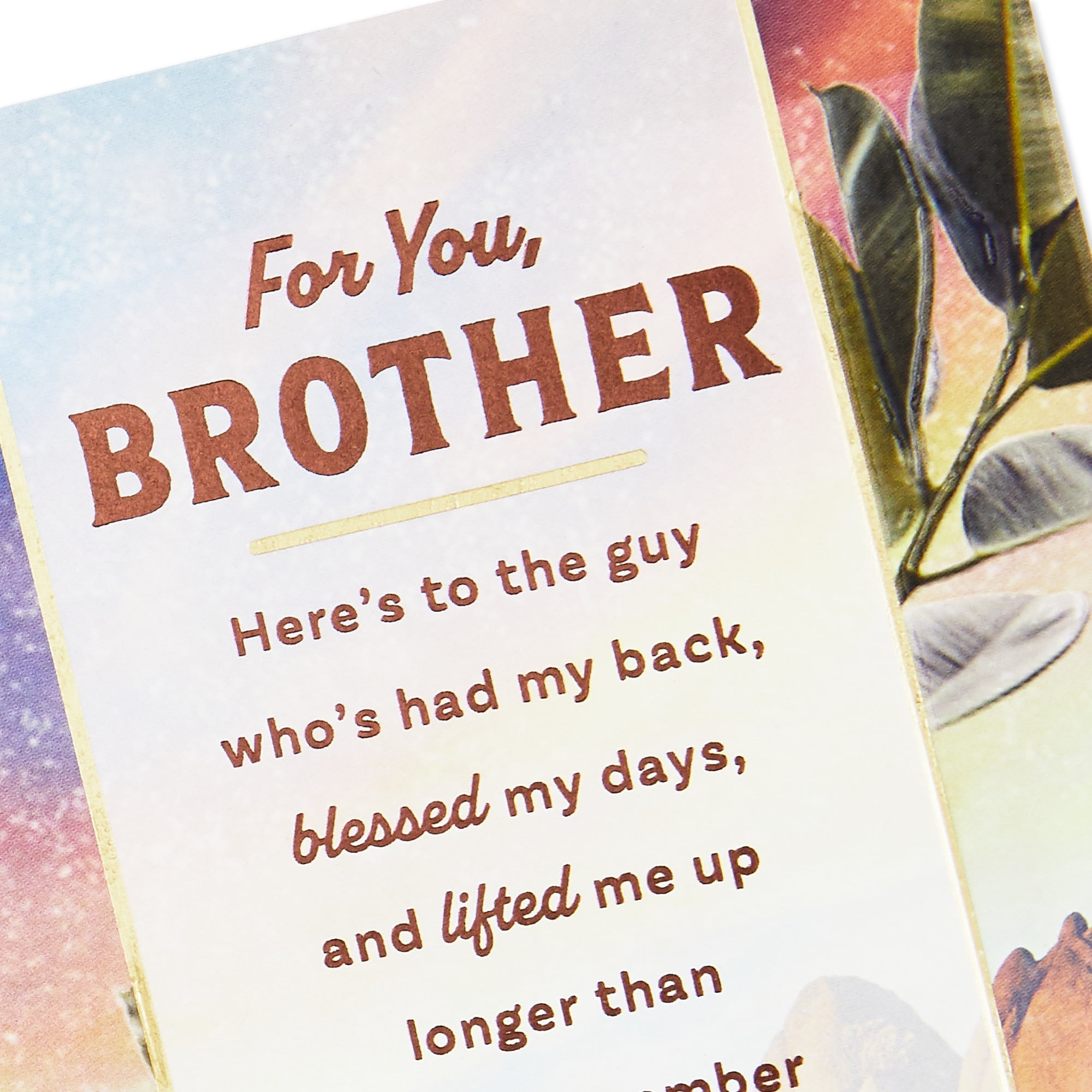Hallmark Birthday Card (Here's to a Brother Who's Loved So Much)