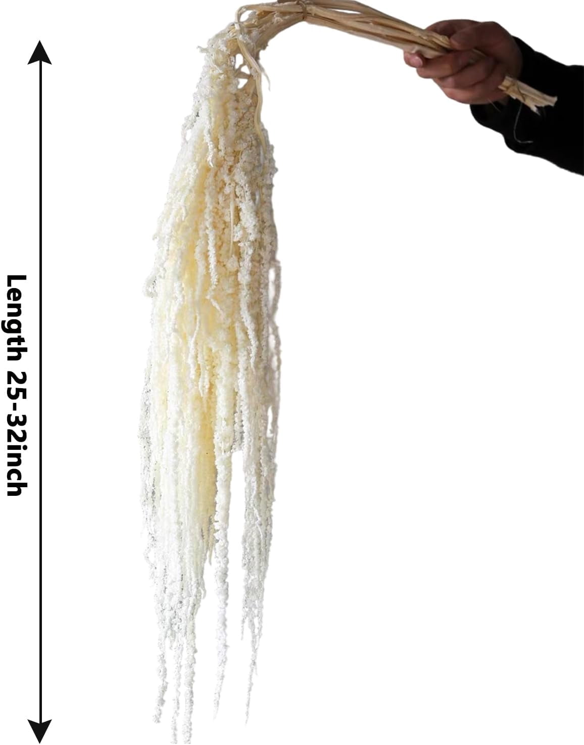 Wisteria Vine Hanging Flowers: 5Pcs Real Preserved Dried Amaranthus Flowers for Wedding, Flower Arrangement, Vase, 23"-26" Hanging Wisteria Flowers for Arch Decor Home Decor (White)