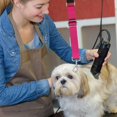 thumbnail image 2 of Dog Grooming Extension Strap Pet Grooming Arm Extension Strap Adjustable Quick Release Dog Grooming Leash Grooming Loop Extension Grooming Table, 2 of 8