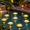 Warm White-6 inch 24pcs, variant on 12 Pack Floating Lotus Pool Lights, Warm White, 5 Inch, Water Activated Waterproof Decor for Ponds, Gardens, Weddings
