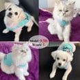 thumbnail image 5 of Ropa linda para perros de primavera y verano Ropa casual para amantes de las mascotas467, 5 of 5