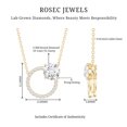 thumbnail image 6 of Rosec Jewels Lab Created Diamond Eternity Necklace for Women - Circle of Life Necklace (EF-VS Grade) - Ready to Gift, 14K Yellow Gold, 6 of 7