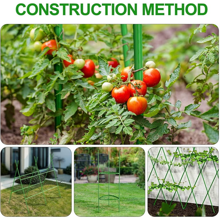 Updated Sturdy Plant Tape Support Tomato Cage for Garden, Stakes
