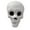 White, variant on Wadada Terrifying Human Skull Fire Pit, Fireproof Imitated Human Skull Ceramic, Durable Reusable Fire Pit Skulls, Halloween Skull Shaped Fire Stones for Fire Pit Campfire Fireplaces (1Pcs, 3 Inch)