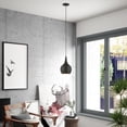 thumbnail image 2 of 49016-04 Livex Lighting Andes - 1 Light Mini Pendant In Urban Style-19.5 Inches Tall and 7.75 Inches Wide-Black/Antique Brass Finish    -Traditional, 2 of 11