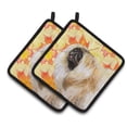 thumbnail image 1 of Carolines Treasures BB9942PTHD Paire d'Automne Pékinoise de Porte-Pots, 1 of 1