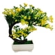 thumbnail image 1 of Simulated Welcome Potted Plants, Plastic Artificial Flowers, Peacock Trees, Bonsai Home Decoration, Simulated Plant Decorations, 1 of 2