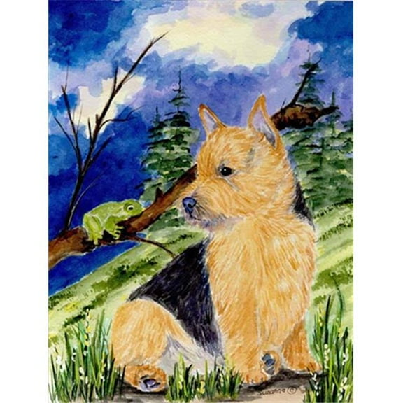 28 x 40 In. Norwich Terrier Flag Canvas, House Size