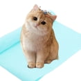 thumbnail image 3 of EXHUMKY Friends with Dogs 2Pcs Dog Bath Towel PVA Quick Drying Protect Against Cooling Keep Warm, 3 of 4