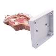 thumbnail image 2 of 2X Human Anatomical Nasal Cavity Throat Anatomy Model for Science Classroom Study Display Teaching Model, 2 of 7