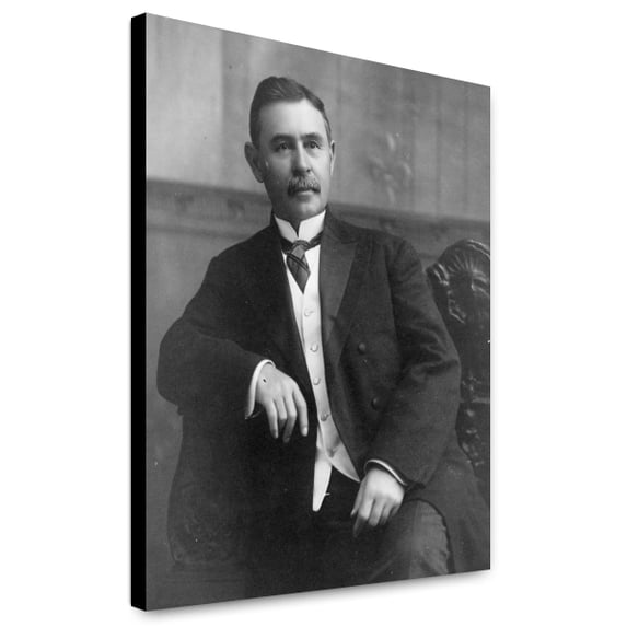 Canvas Print: Senator Furnifold Mclendel Simmons, Three-Quarter Length Portrait