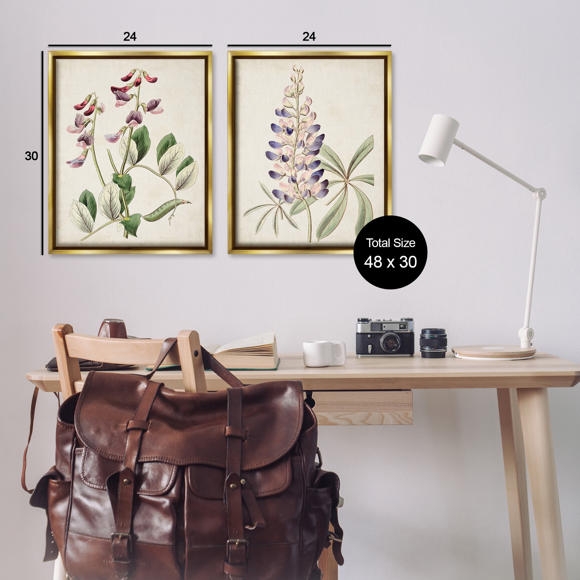 Stupell Industries Foxglove Latin Studies Botanical & Floral Painting Gold Floater Framed Canvas Art Print Wall Art, 25 x 31, Set of 2