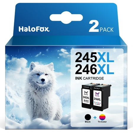 245XL 246XL Ink Cartridges for Canon Ink 245 and 246 PG-245XL CL-246XL PG-243 CL-244 Compatible with TR4520 MX492 MX490 MG2420 MG2520 MG2522 MG2920 MG2922 MG3022 MG3029 Printer (2-Pack)