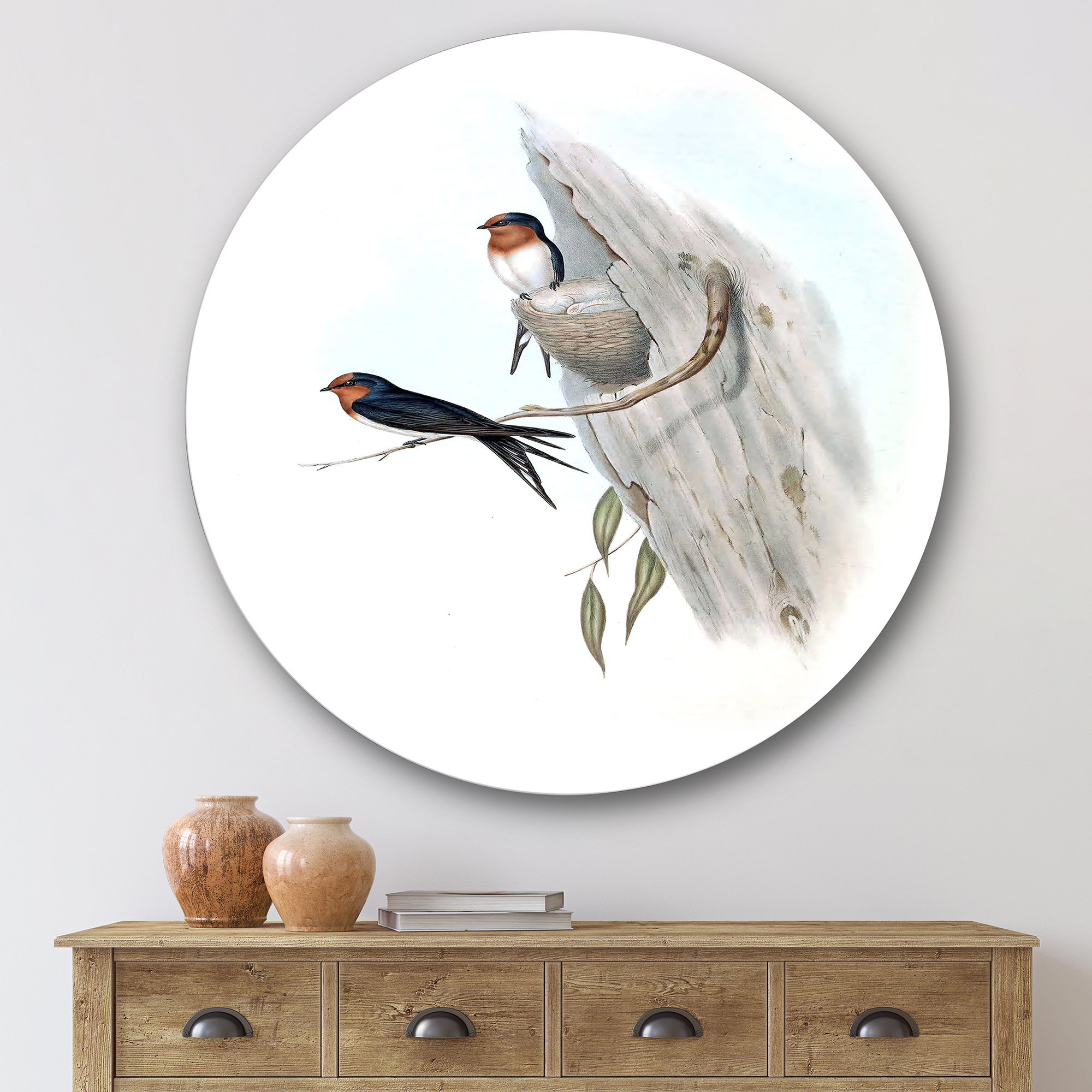 Designart 'Ancient Australian Bird Illustrations II' Traditional Circle Metal Wall Art 36x36 - Disc of 36