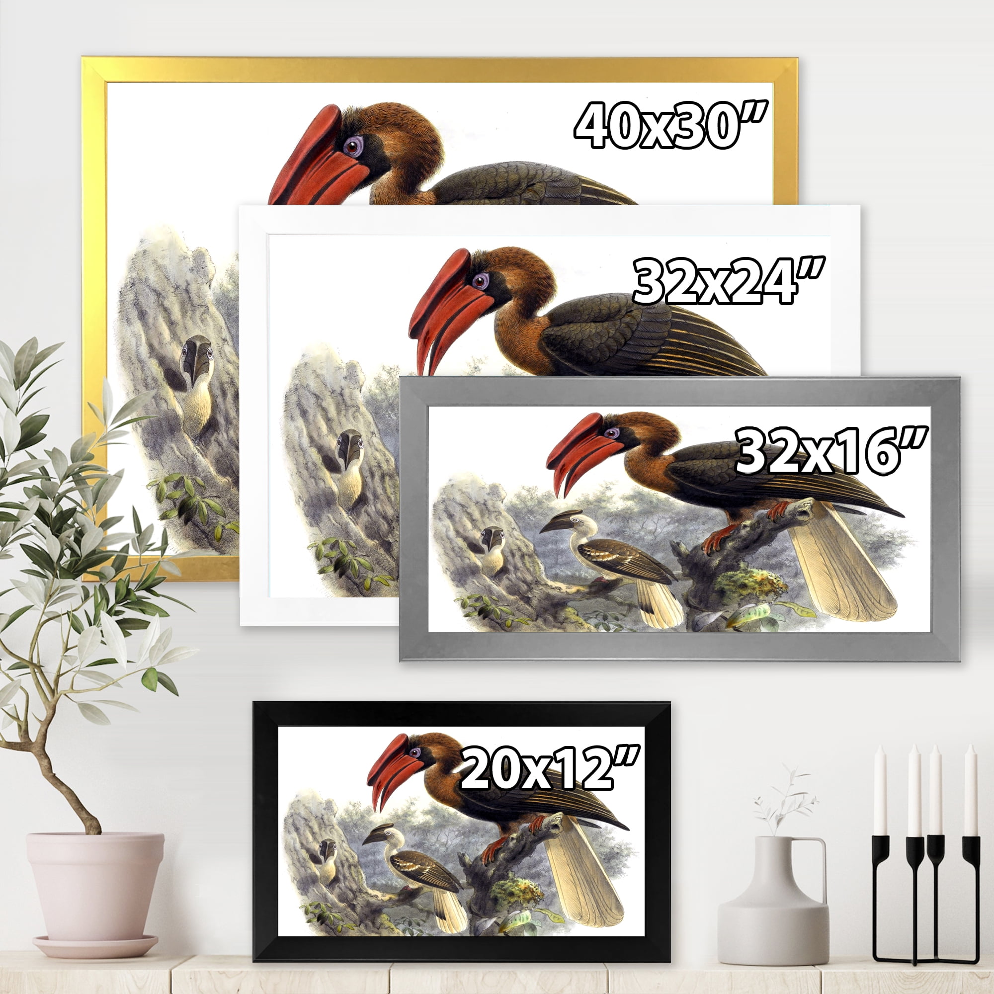 Designart 'Ancient Australian Birds XI' Traditional Framed Art Print