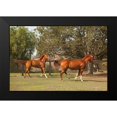 thumbnail image 2 of Millet, Karyn 24x17 Black Modern Framed Museum Art Print Titled - Horse Play I, 2 of 5