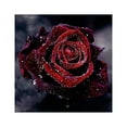 thumbnail image 1 of 5D Diamant Peinture Kit Rouge Rose Pleine Perceuse Strass DIY Point de Croix Décoration de la Maison, 1 of 8